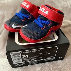 Nike Lebron James Sneaker